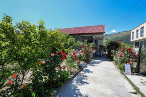 Samuela Cozy Retreat